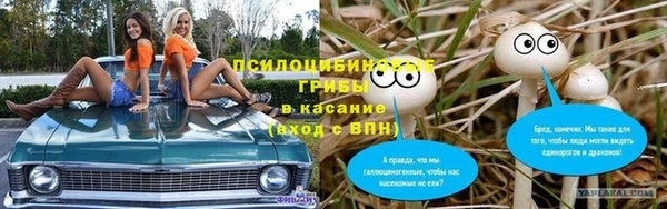 бошки Арсеньев