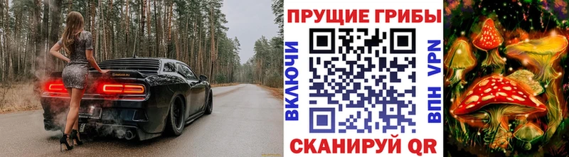 Псилоцибиновые грибы Psilocybe  Боготол 